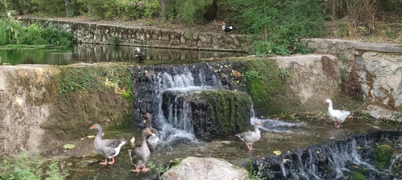 Alojamientos Puerta Del Parque Cazorla Kültér fotó